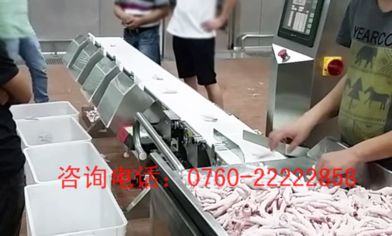 雞爪重量分選秤應用案例